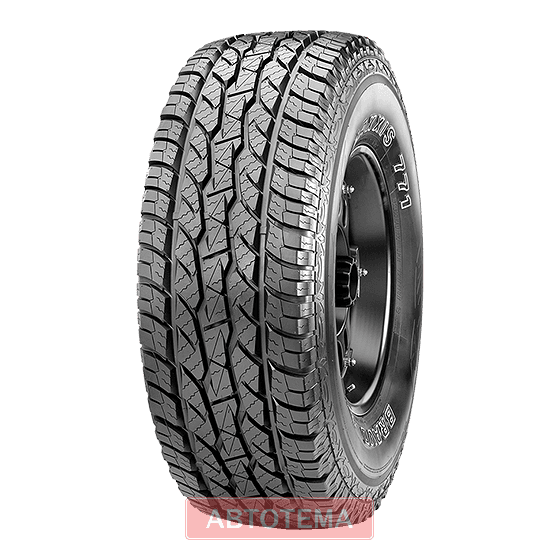 255/65R17 110H 255/65R17 110H