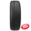 Купить Зимняя шина PETLAS SnowMaster W651 215/55R17 98V