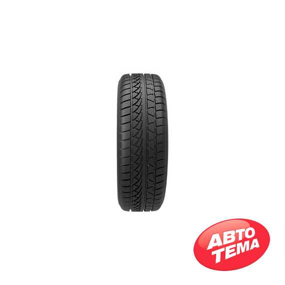 Купить Зимняя шина PETLAS SnowMaster W651 215/55R17 98V