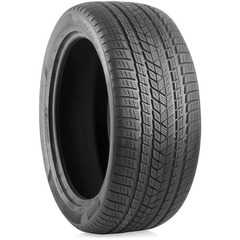 Купить Зимняя шина PIRELLI Scorpion Winter 255/55R18 109H