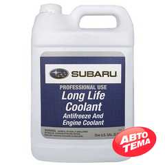 Купить Охлаждающая жидкость SUBARU Antifreeze Long Life Coolant концентрат (зеленая) (1Gal/3.78л)
