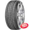 Купить Зимняя шина SAVA Eskimo HP2 205/55R16 91H