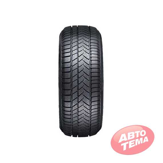 Купити Зимова шина SUNNY NW211 Winter-maX A1 205/50R17 93V
