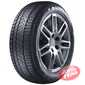 Купити Зимова шина SUNNY NW211 Winter-maX A1 205/50R17 93V