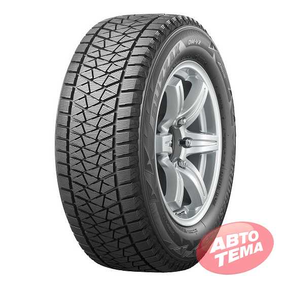 Купити Зимова шина BRIDGESTONE Blizzak DM-V2 255/60R18 106S