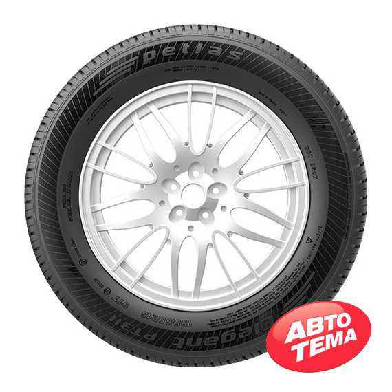Купить Летняя шина PETLAS Elegant PT311 195/65R14 89H