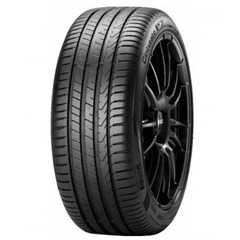 Купить Летняя шина PIRELLI Cinturato P7 P7C2 225/55R17 97W