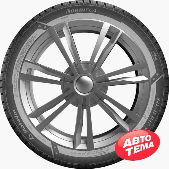 Купить Зимняя шина MATADOR MP 93 Nordicca 225/55R17 101V