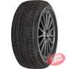 Купити Зимова шина FORTUNE FSR901 275/45R20 110W