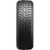 Купити Зимова шина ROADX RXFrost WU01 235/55R17 99H