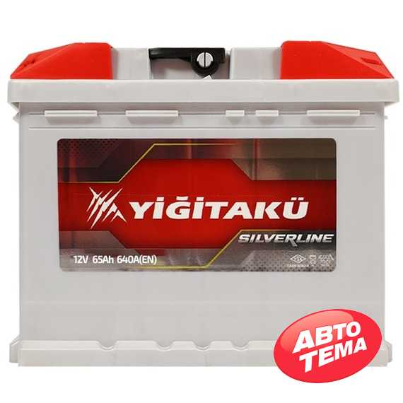 Купить Аккумулятор YIGITAKU MF 65Ah 640A L Plus (L2)