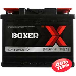 Купить Аккумулятор BOXER (555 80) (L2) 60Ah 520A R+