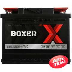 Аккумулятор BOXER (555 80) (L2) - Интернет магазин резины и автотоваров Autotema.ua