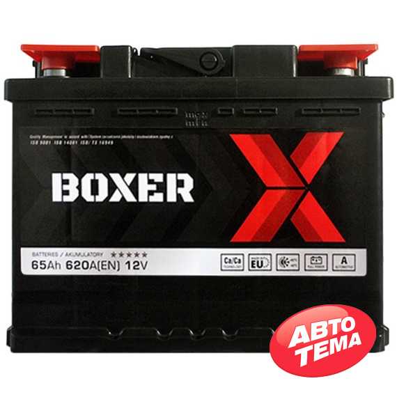 Аккумулятор BOXER (565 81) (L2) - Интернет магазин резины и автотоваров Autotema.ua