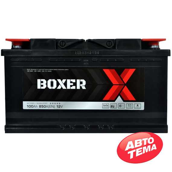Купить Аккумулятор BOXER (600 80) (L5) 100Ah 850A R+