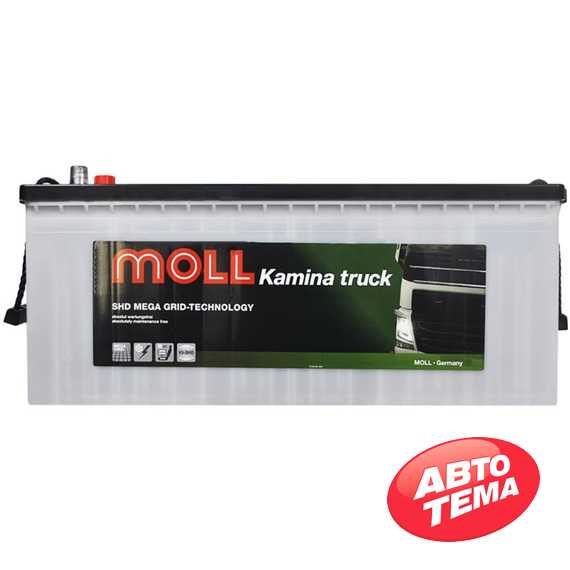 Купити Аккумулятор MOLL Truck SHD 180Ah 1000A L+ (DIN B)