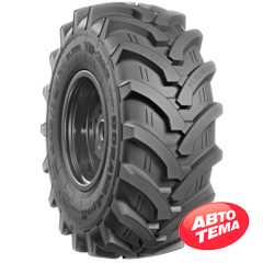 Купити Cільгосп шина ROSAVA TR 302 540/70R24 140A8