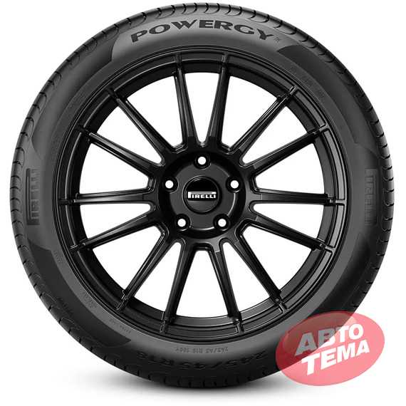 Купить Летняя шина PIRELLI POWERGY 215/50R17 95Y XL